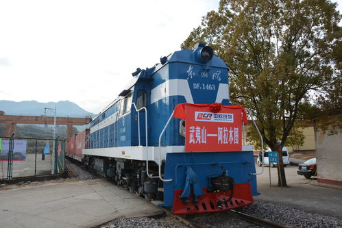 全球復蘇前景仍不確定，中國經濟穩定器作用凸顯——以道路貨物運輸為觀察視角